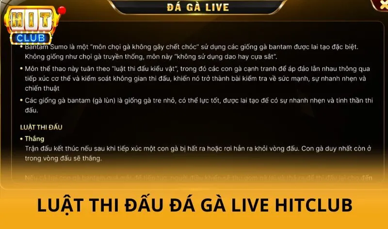 Luật thi đấu Đá Gà Live Hitclub